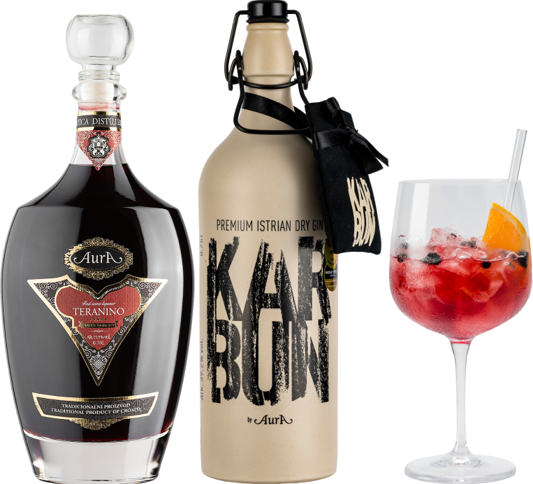 Gin Karbun Tonic with Teranino