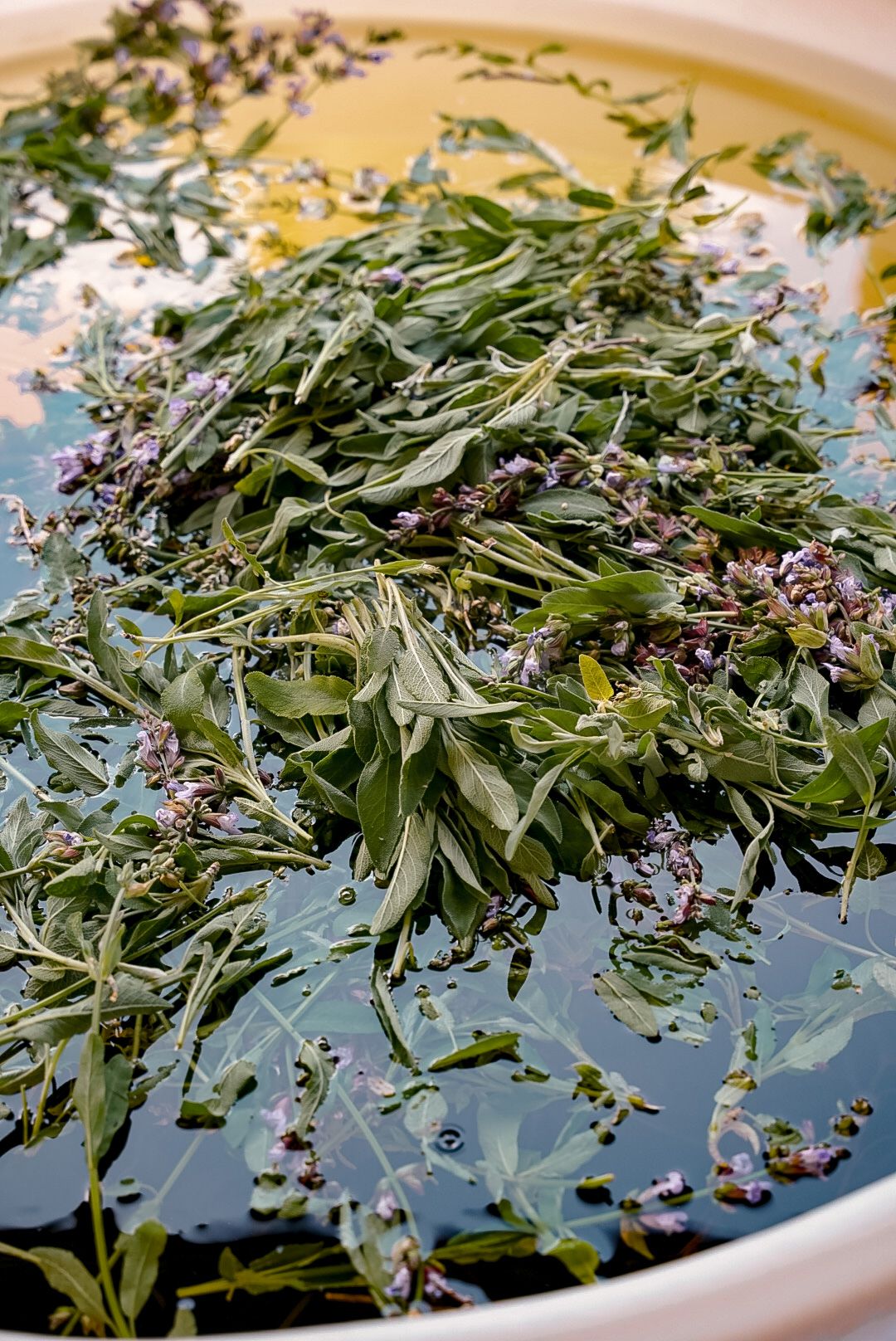 Salvia 0,7 l  - Aura