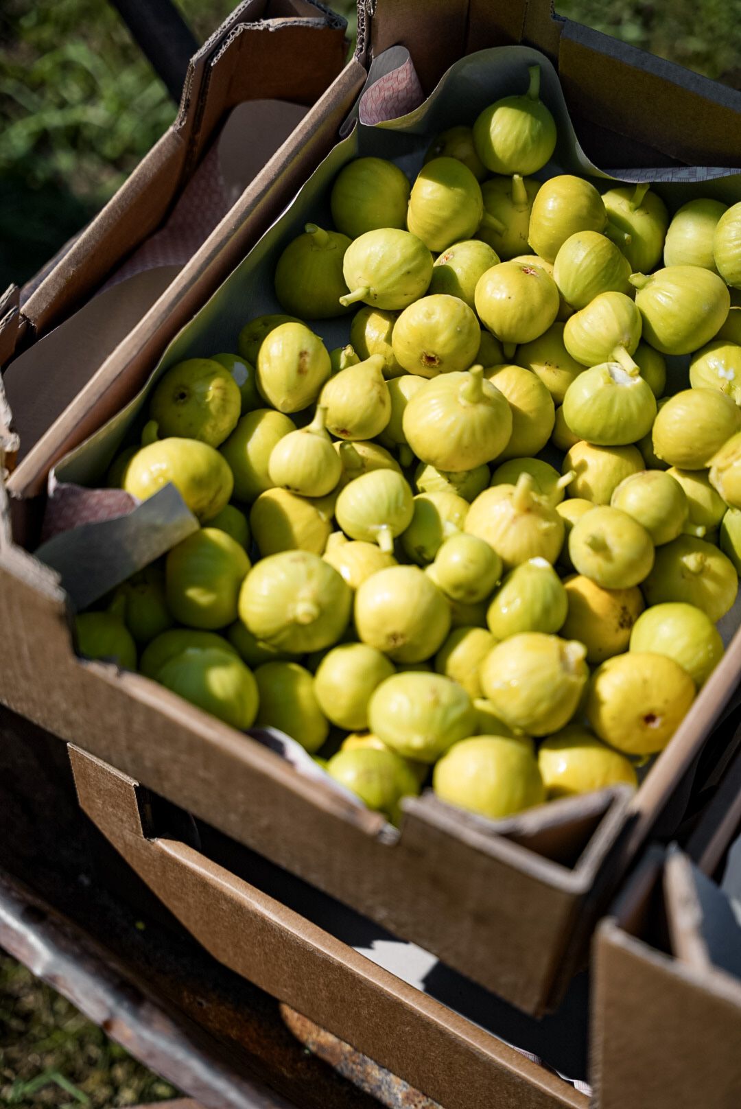 Marmellata di fichi 230g  - Aura