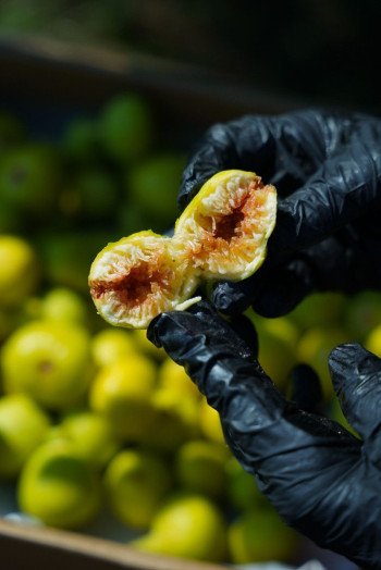 Marmellata di fichi 230g - Aura