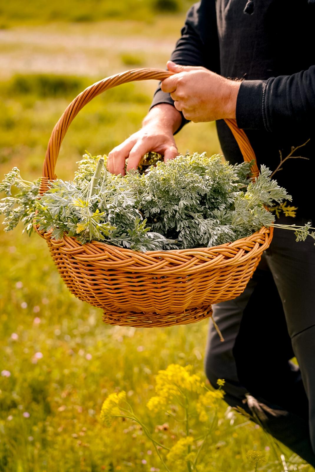 Bitter Pelinkovac 0,7 l - Aura