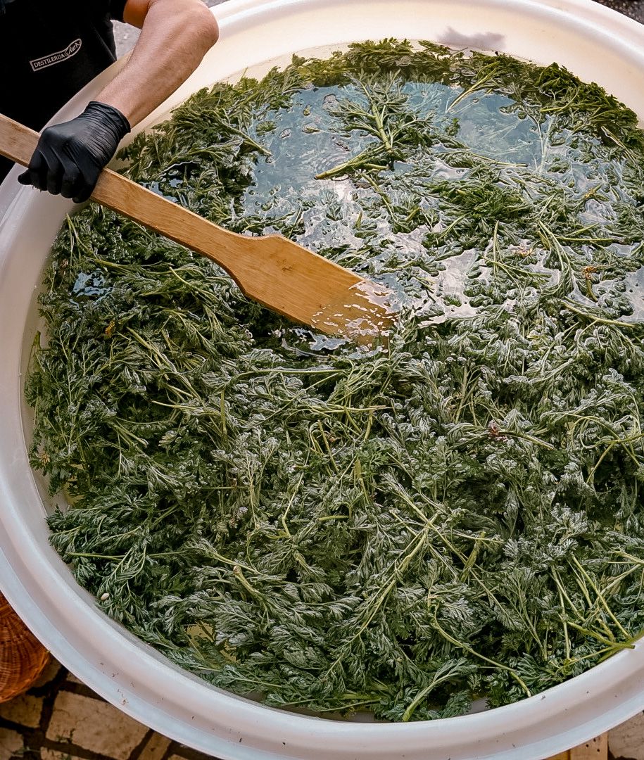 Bitter Pelinkovac 0,7 l - Aura